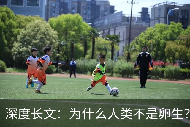 深度长文：为什么人类不是卵生？说出来你可能不信，这事3亿年前就定好了